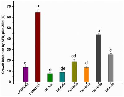 Characterization and mechanism of simultaneous degradation of aflatoxin B1 and zearalenone by an edible fungus of Agrocybe cylindracea GC-Ac2